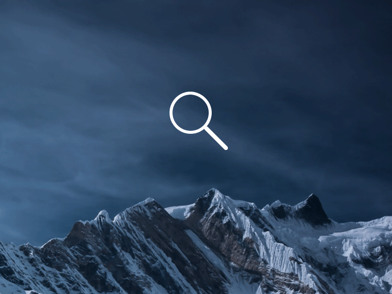 Search Icon Animation