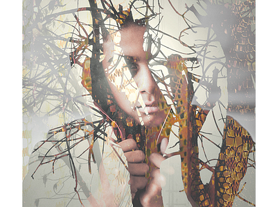 One Wild Life (Body) - Tree album art double exposure photo manipulation