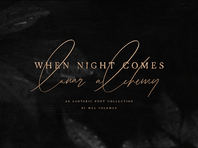 When Night Comes Font Collection brush lettering custom type esoteric font halloween hand lettering illustration lettering logo magical minds eye moon signature font stars type typewriter font typography witch witch illustrations witchy