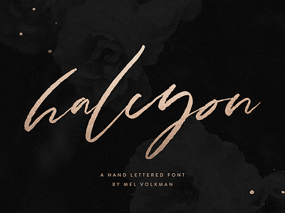 Halcyon Brush Script Font By Mel Volkman
