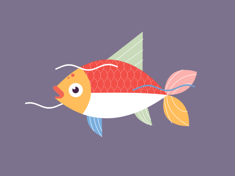 Fish animation color design fish flat gif illustration web