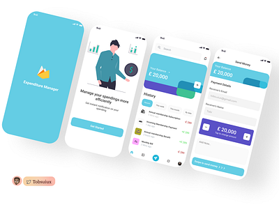 Expenditure Manager app design mobile app mobile app design mobile design mobile ui ui ui design uidesign