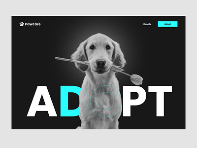 Pet Adoption Website Design animation blender3d covid19 design dogadoption illustration landingpage landingpagedesign logo motion graphics petadoption