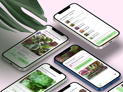 Plant identification app app app design application mobile mobile ui plants plants app ui university user experience ux webapp