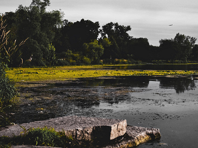 Lake of Isles