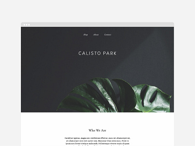 Calisto Park | website ecommerce editorial layout web design website