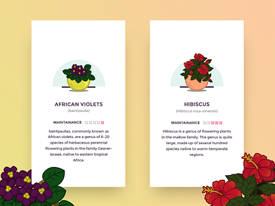 Flower Illustrations 2 african app flowers hibiscus illustrations screens vector violets