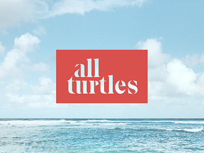 Al Turtles Logo logos