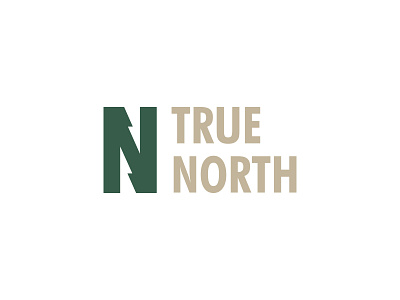 True North branding logo logo design logomark logotype wordmark