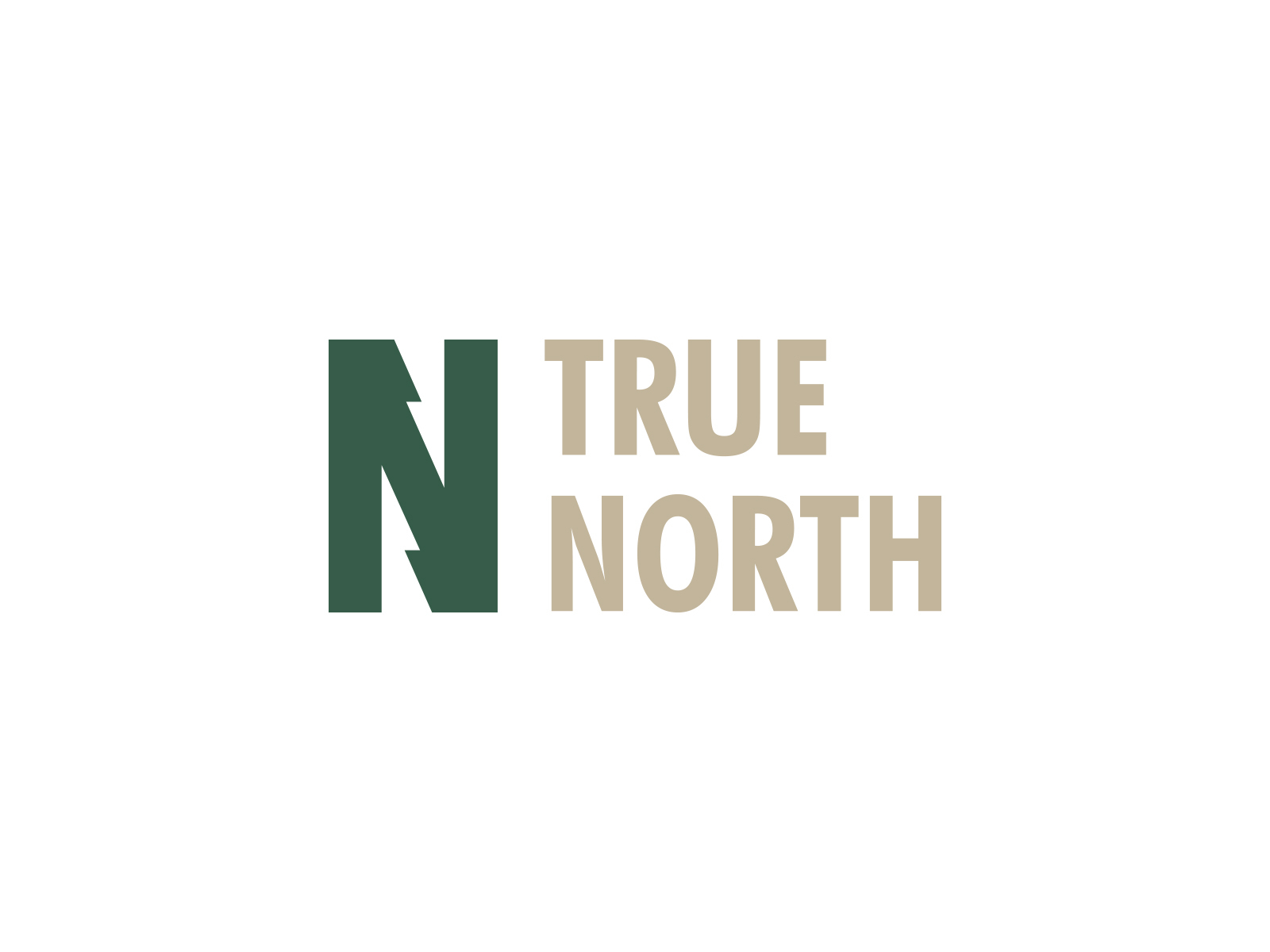 True North by Henry Postons on Dribbble