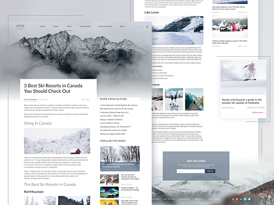 Ski blog design app banner blog design e commerce fog grey minimal mountains post productdesign shop ski snow snowboards typography ui ux web website
