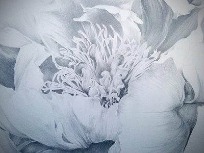 Floral Sketch drawing flowers freehand sketch still life