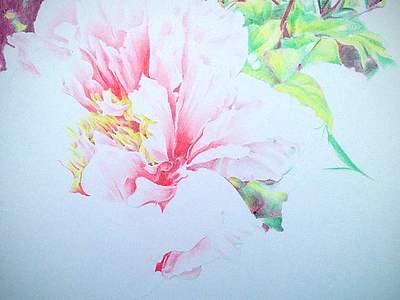 Floral Sketch 2 drawing floral freehand pencil sketch