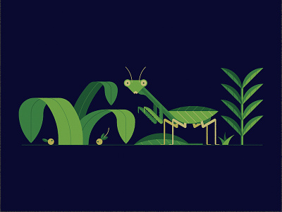 Mantis design geometric illustration mantis plants shapes texture vector