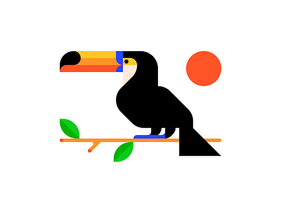 Toco Toucan bird bold icon illustration minimal toco toucan tropical vector