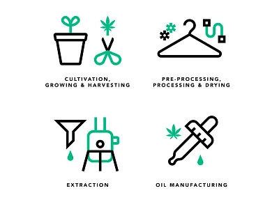 Seed to patient cannabis cultivation icon iconography illustration line medicinal vector