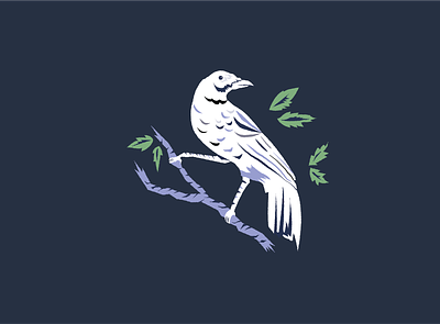 White Crow bird crow hand made illustration