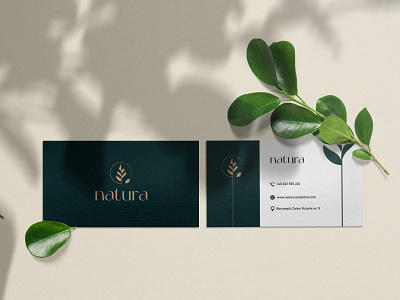 Natura Business Card branding bussines card bussinesc cards cards graphic design identity logo mockup