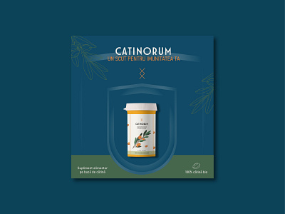 Catinorum - Banner banner branding graphic design illustrator