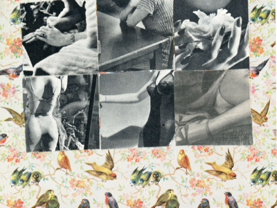 The Lady on the Wall Paper, Detail birds collage floral lady legs paper