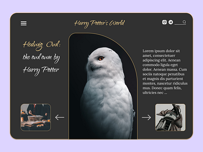 Wizard World _ UI Design _ Harry Potter Style design graphic graphic design harry potter illustration j k rowling typography ui ui design ux ux design web design website wizard wizard world