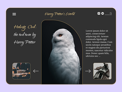 Wizard World _ UI Design _ Harry Potter Style