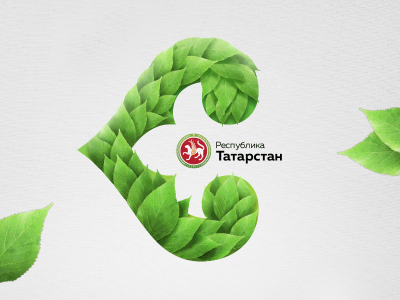 Identity for Ministry of Ecology of Republic Tatarstan ecology identity