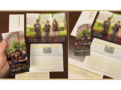 Annual Fund Brochure Design brochure brochure design layout