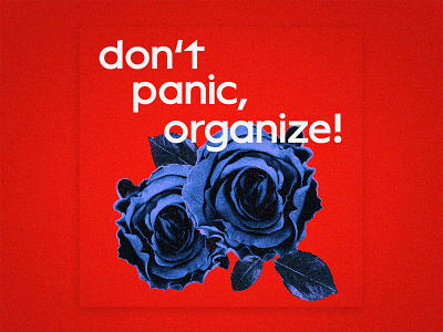 Don't panic, organize! activism editorial organize photoshop red socialism typography vector