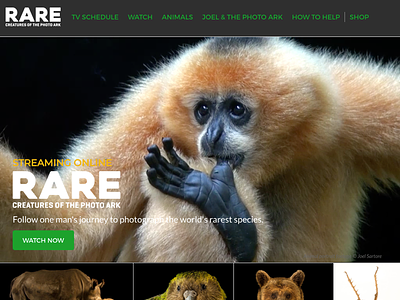 Rare: Creatures of the Photo Ark front-end development web design wordpress