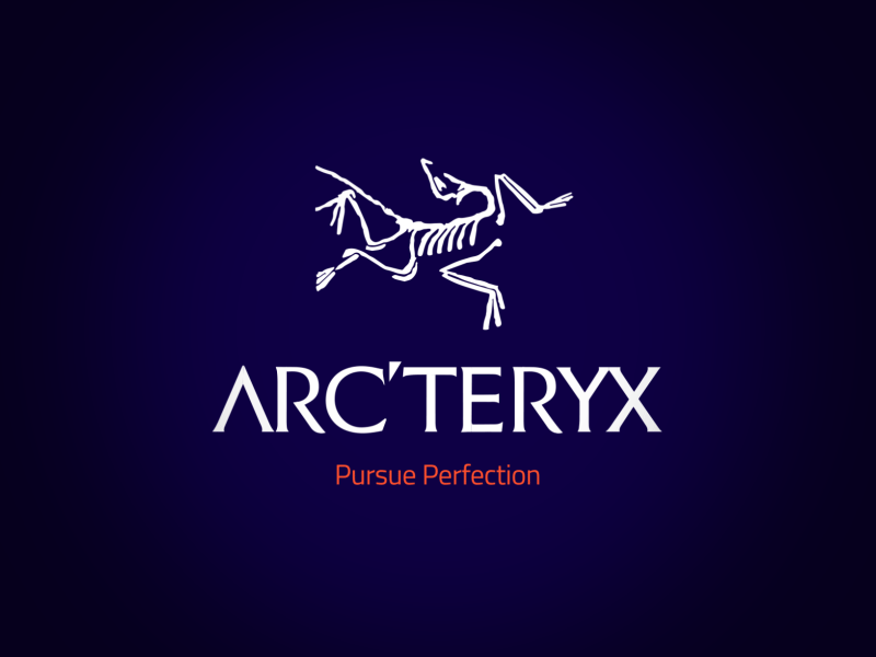 Arc'Teryx Animated Lockup skiing snow ski bird skeleton lockup logo motion arcteryx