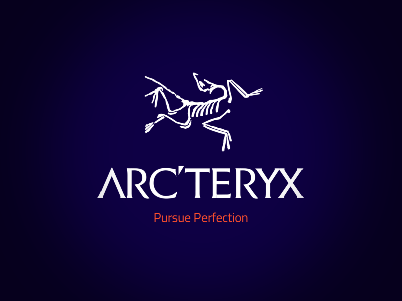 Arc'Teryx Animated Lockup arcteryx bird lockup logo motion skeleton ski skiing snow