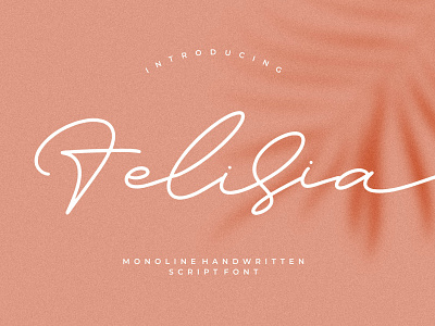 Felisia - Monoline Script Font branding casual design fashion handmade handwriting handwritten illustration logo script