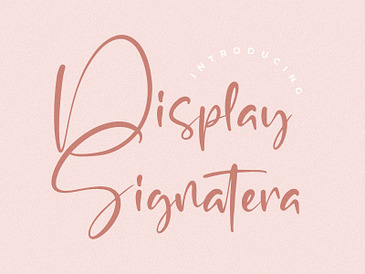 Display Signatera - Modern script Font branding casual design fashion handmade handwriting handwritten illustration logo script