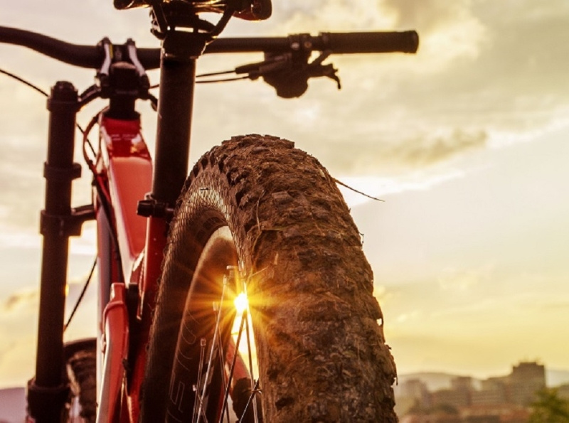 fat bike brands 2020