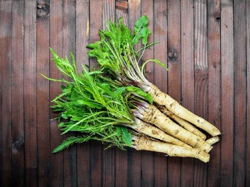 What is the best horseradish substitute for cooking? by Eardex on Dribbble