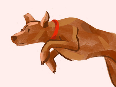 Sawyer dog illustration kangaroo procreate pup pupper
