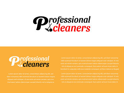 Professional Cleaners Logo Design
