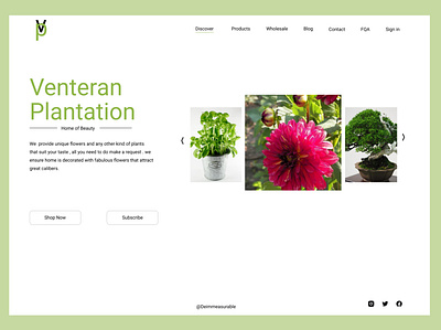 landing page for plant store app branding design icon illustration typography ui ux