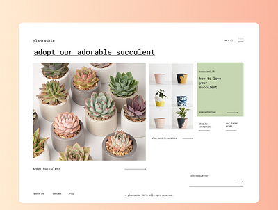 Plantashie, a website for adopting plants design minimal ui web