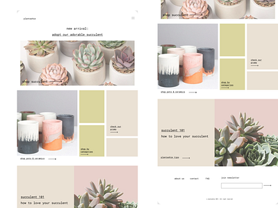 plantashie design ui web