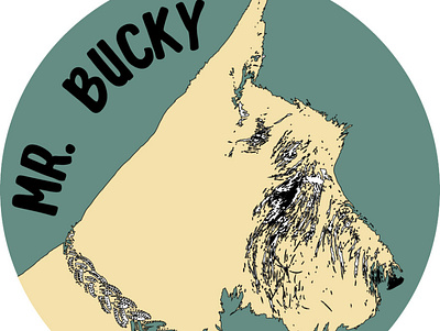 Mr. Bucky - Mr. Bucky Boutique illustrator instagram post logo typhography