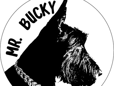 Mr. Bucky - Mr. Bucky Boutique design illustrator instagram post logo typhography