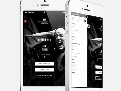 Cluj Napoca National Opera House arts crossplatform events opera responsive webdesign