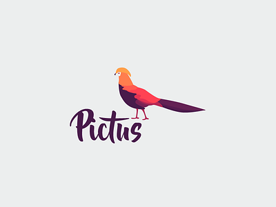 Pictus branding design gradients graphic design identity illustrator logo mark pattern purple texture vector