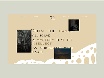 Mayu | Web Design branding design illustration visual design web design