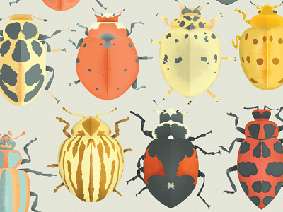 Lady Beetles 2