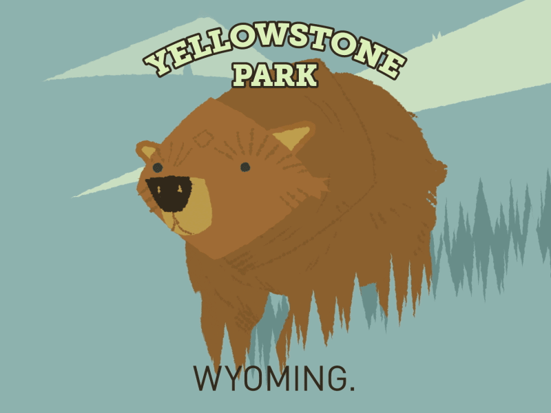 Bear with me, please. ae aftereffects animation bear character grizzly loop nature wyoming yellowstone