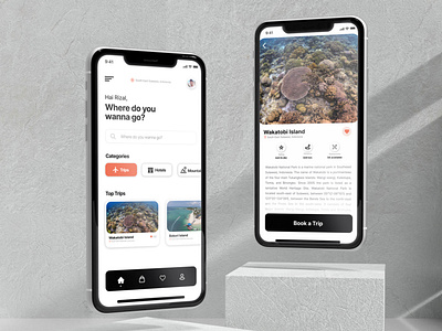 Trip Apps UI Design