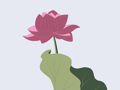 Lotus art design digital illustration digitalart illustration vector